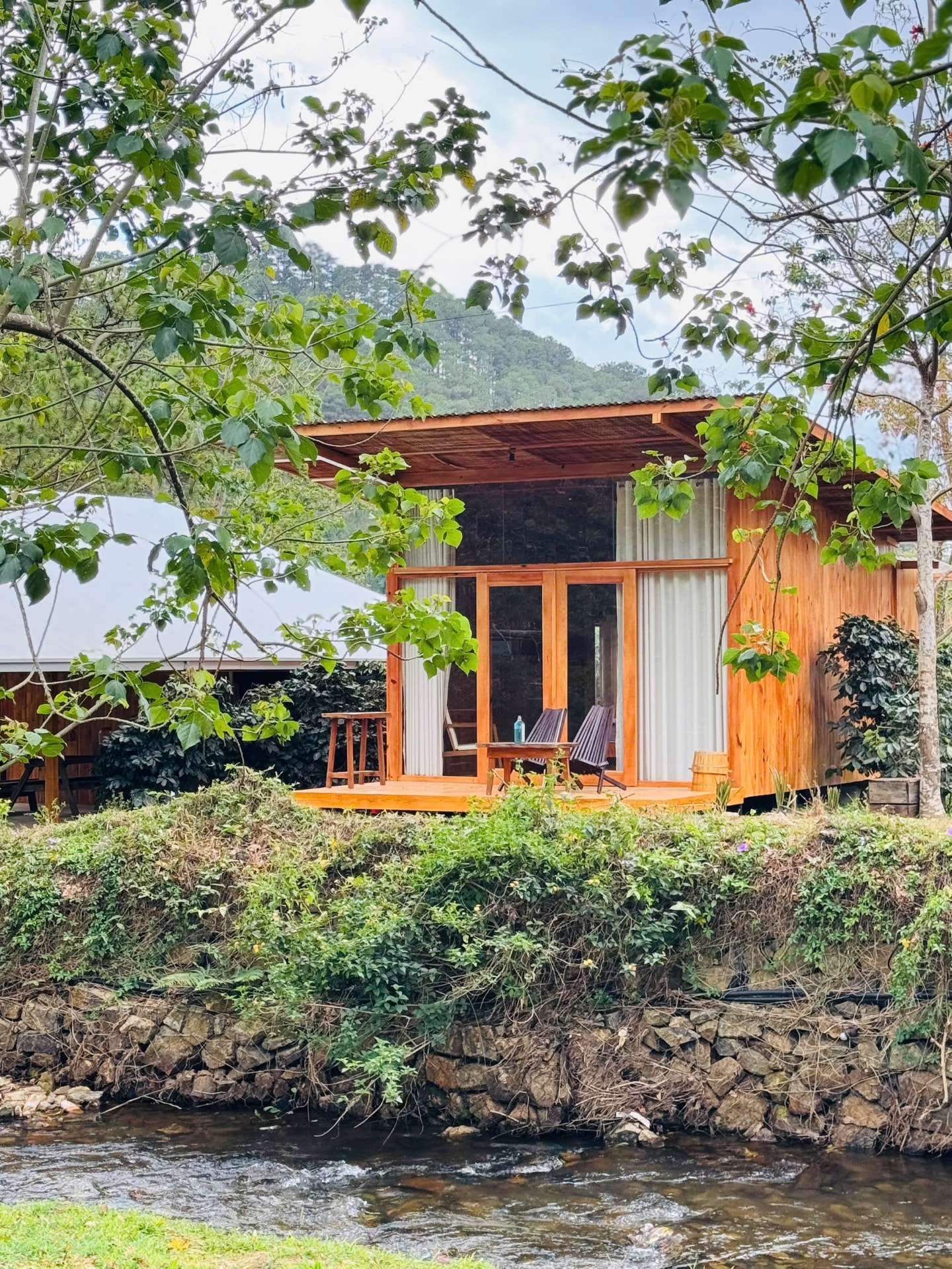 Cabin nhà gỗ bên bờ suối giữa vườn cà phê