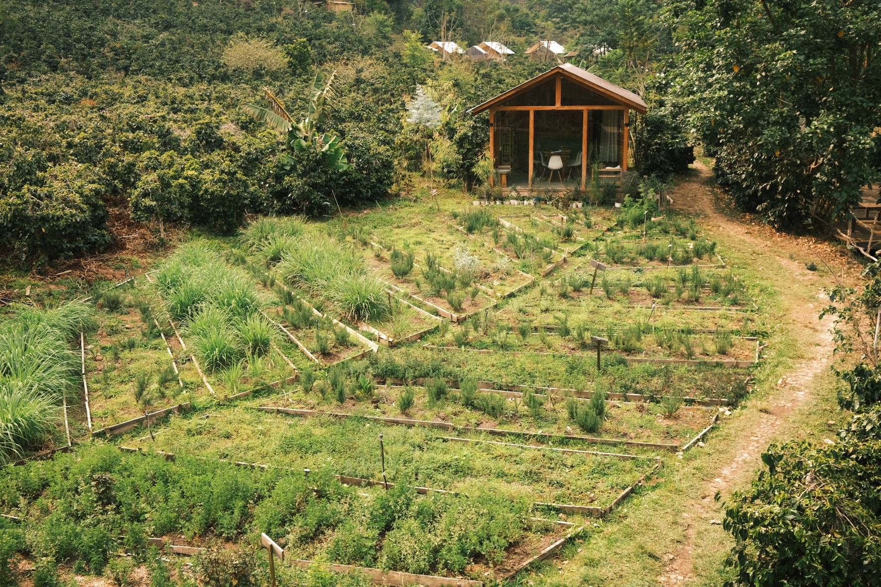 Nông trại thực sống Twin Beans Farm với vườn rau và không gian thiên nhiên.