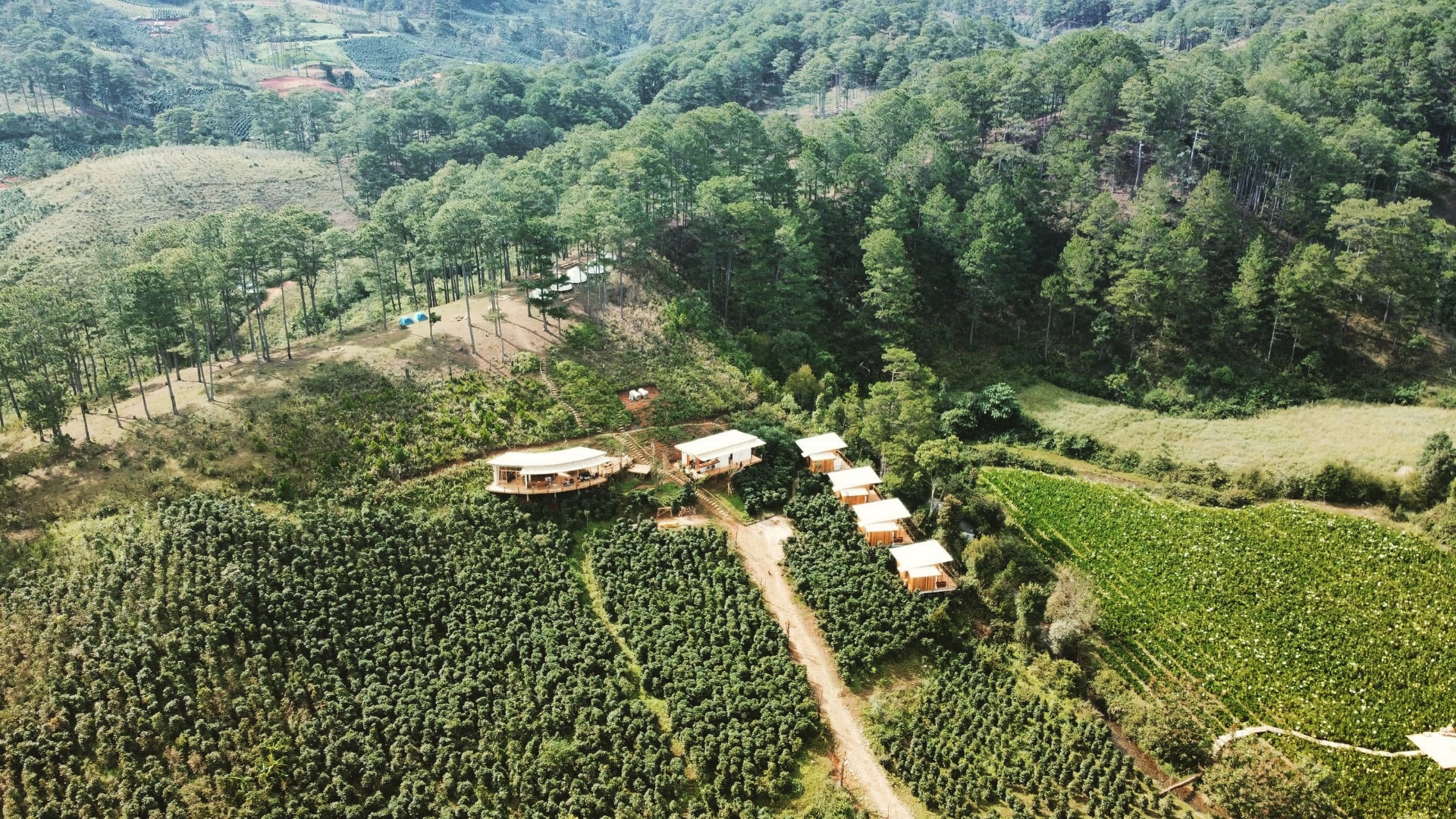 Vườn rau được chăm sóc tại Twin Beans Farm, cung cấp nguyên liệu tươi cho thực đơn retreat.