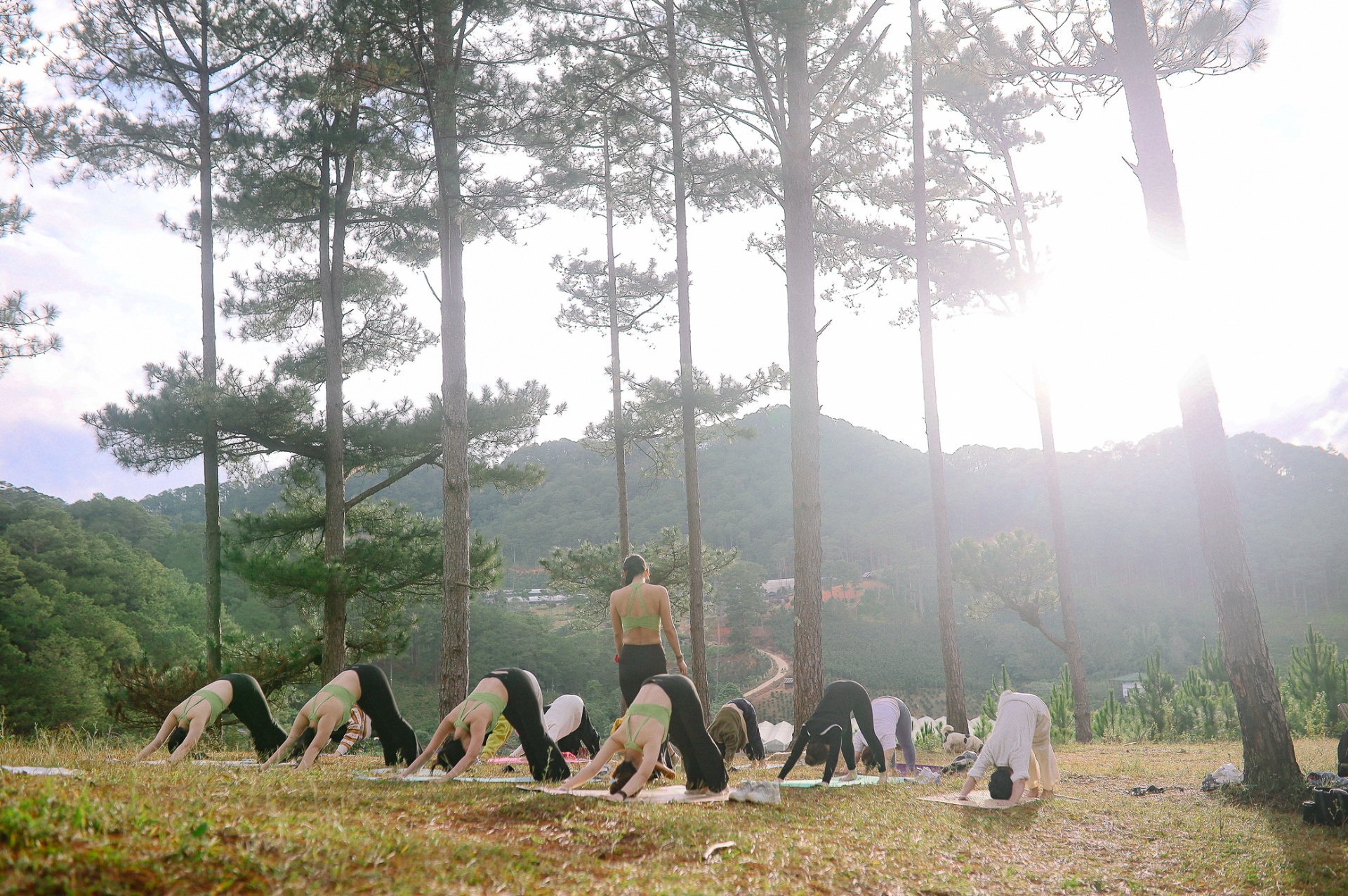 Yoga & Pranayama