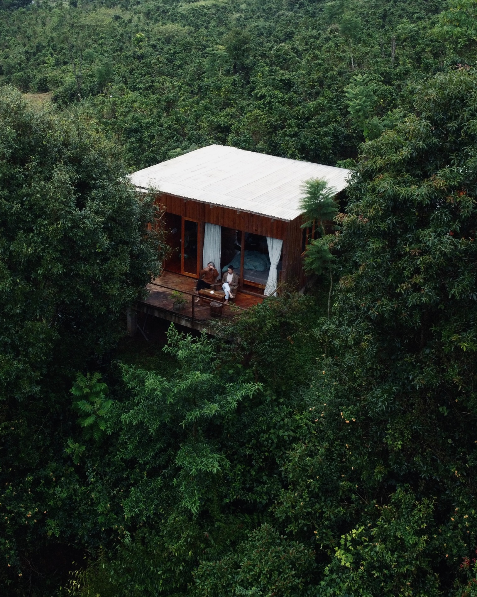 Nhà gỗ Bungalow/Cabin hoặc Lều Glamping giữa thiên nhiên