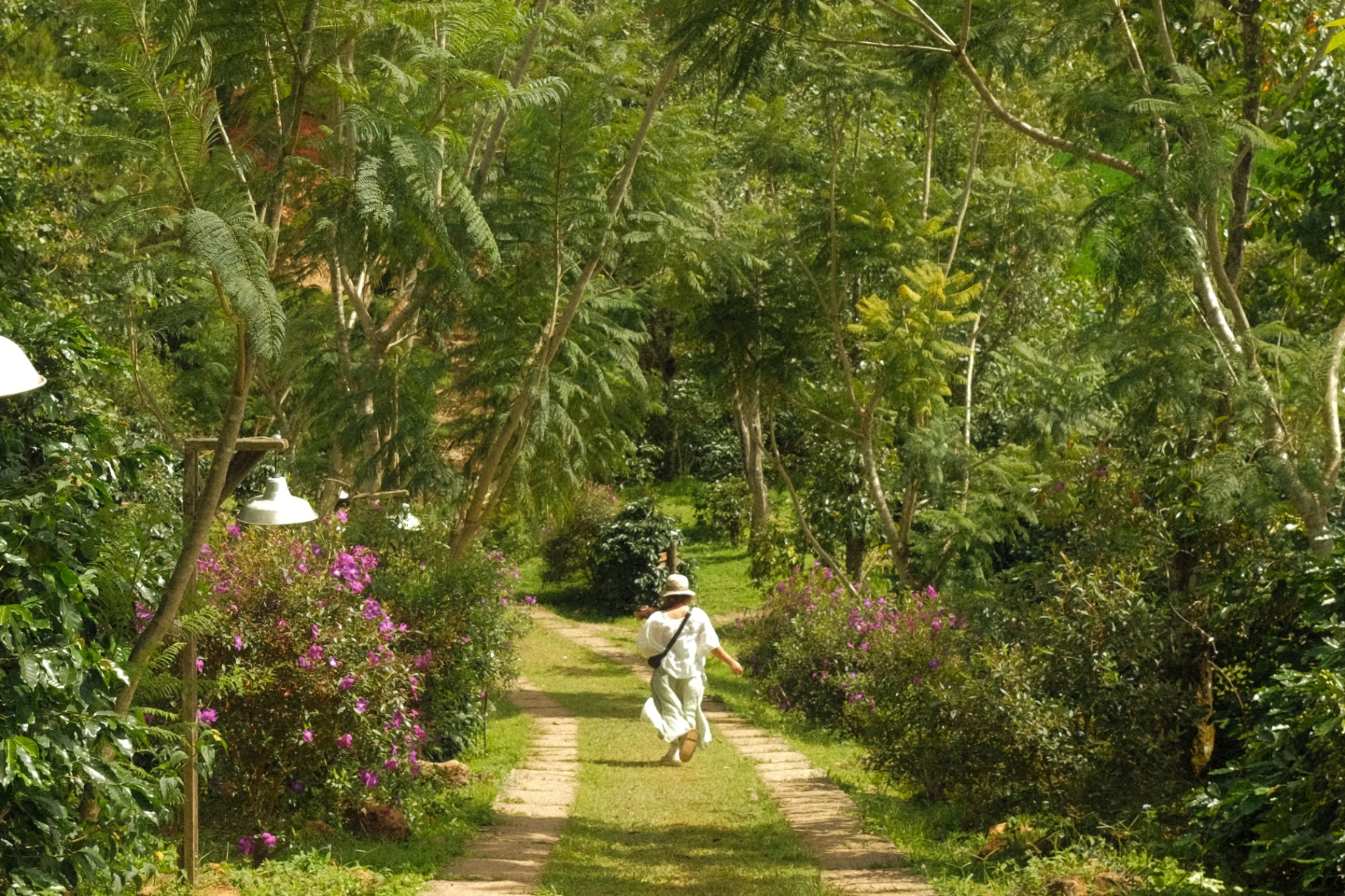 Không gian trị liệu và thực hành cá nhân hóa tại retreat.